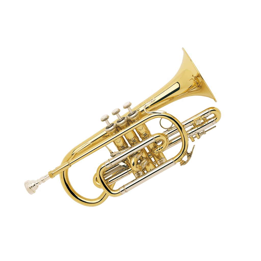 Cornet